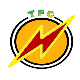 Криптовалюта The Flash Currency The Flash Currency TFC
