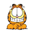 Криптовалюта Garfield Token Garfield Token GARFIELD