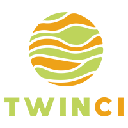 Криптовалюта Twinci Twinci TWIN