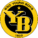 Криптовалюта Young Boys Fan Token Young Boys Fan Token YBO