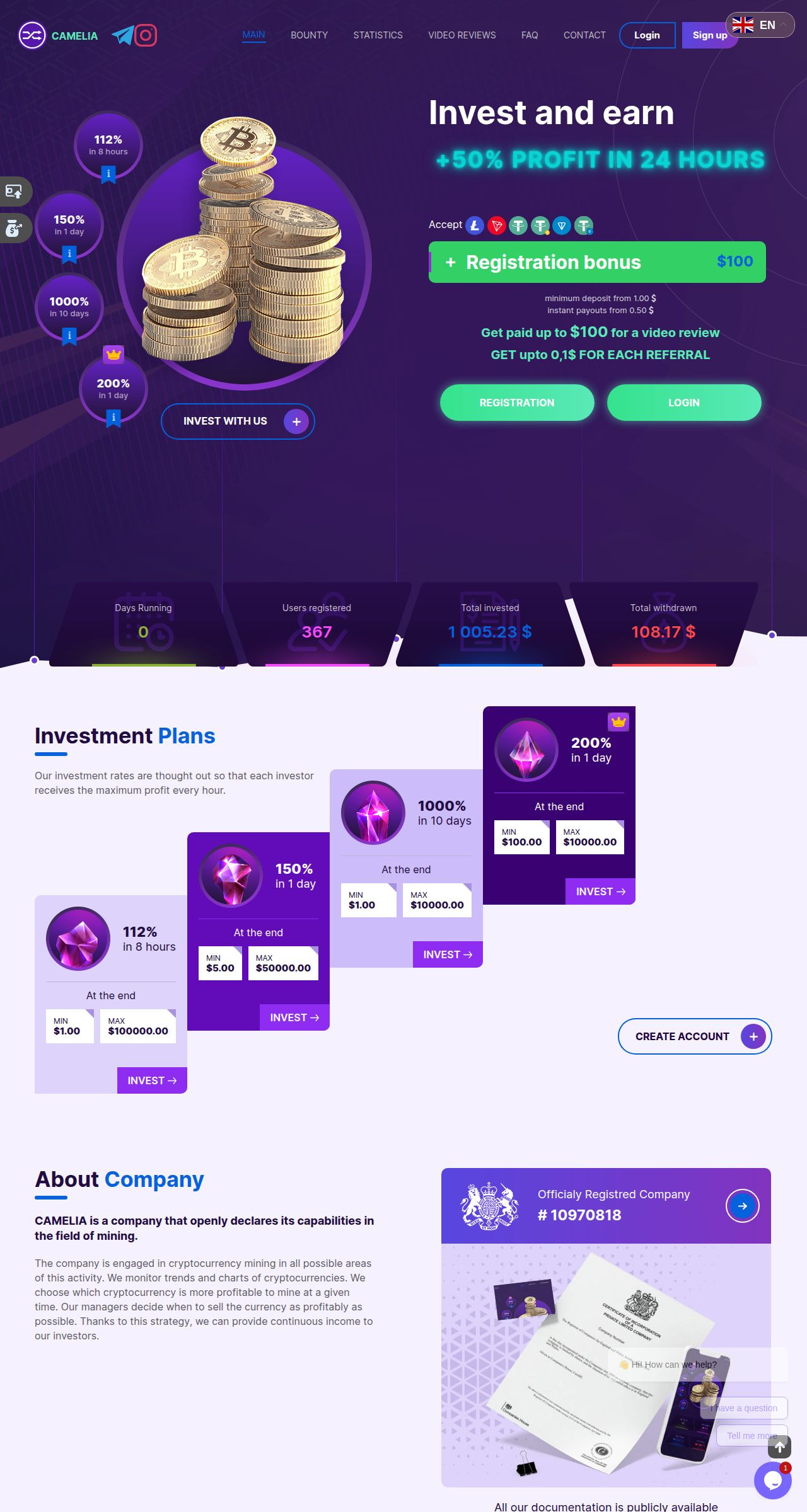 Investment project Camelia