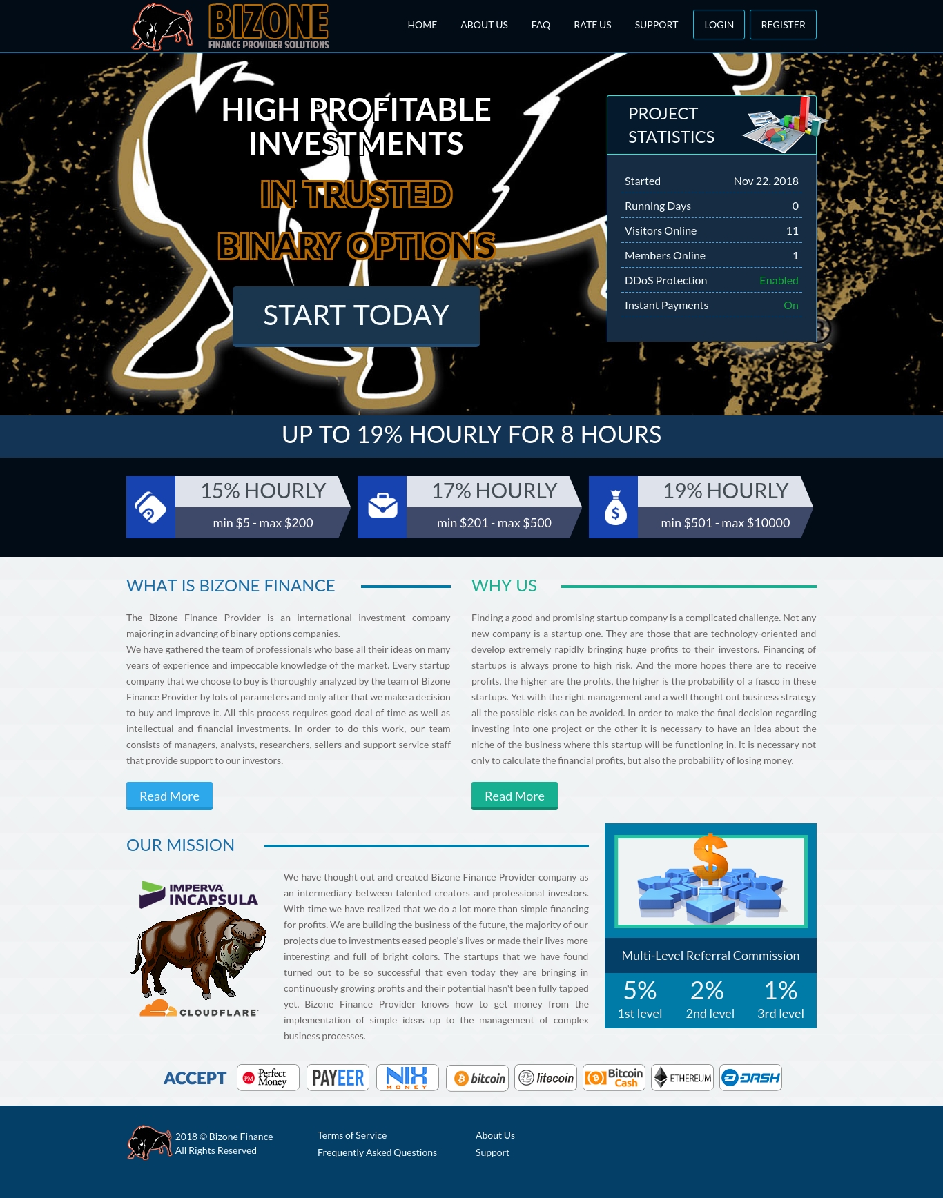 Инвестиционный проект Bizone