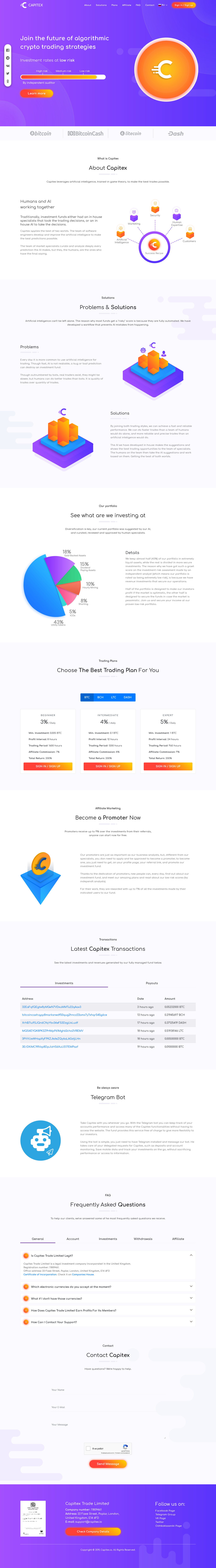Инвестиционный проект Capitex