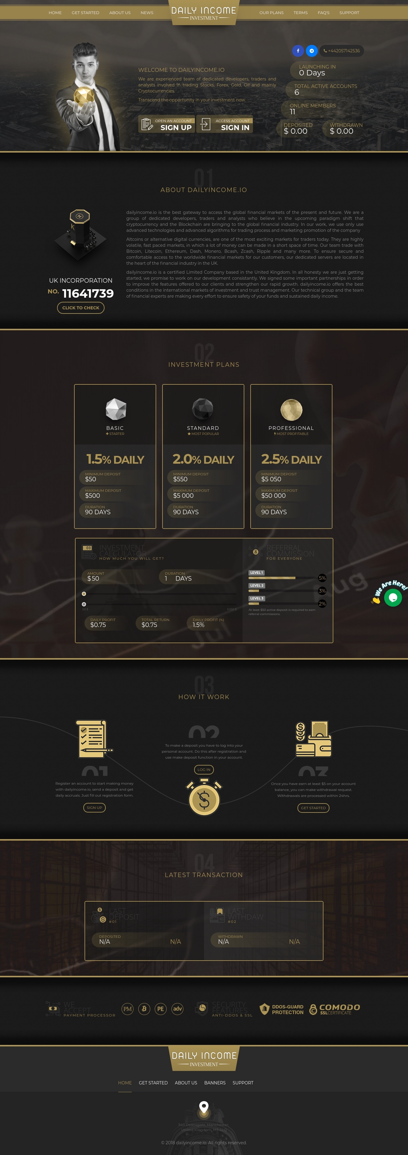 Инвестиционный проект Daily Income