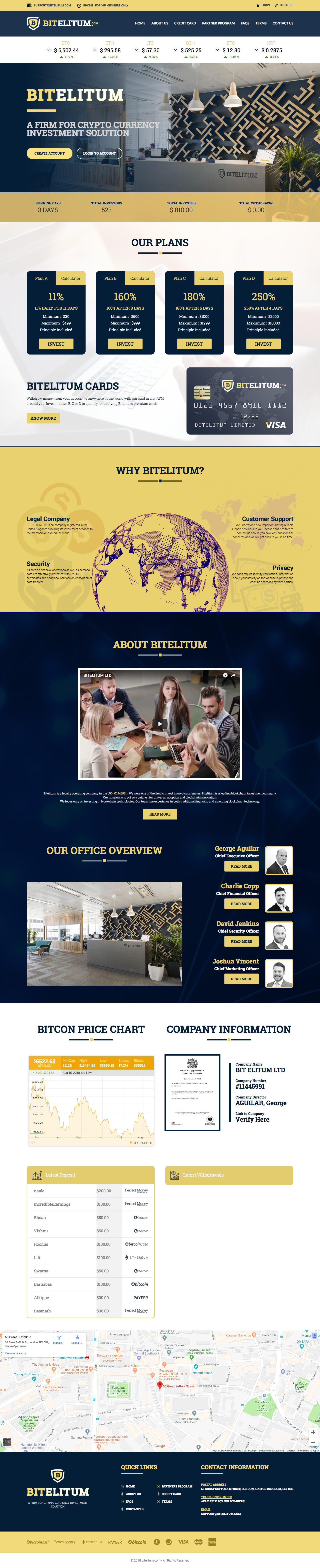 Инвест проект Bit Elitum LTD