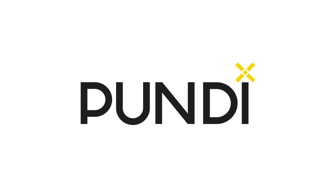 Обзор криптовалюты Pundi X / Пунди Икс (NPXS)