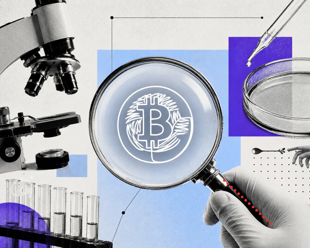 Биткоин-транзакция: как ее прочитать и отследить Биткоин-транзакция: как ее прочитать и отследить