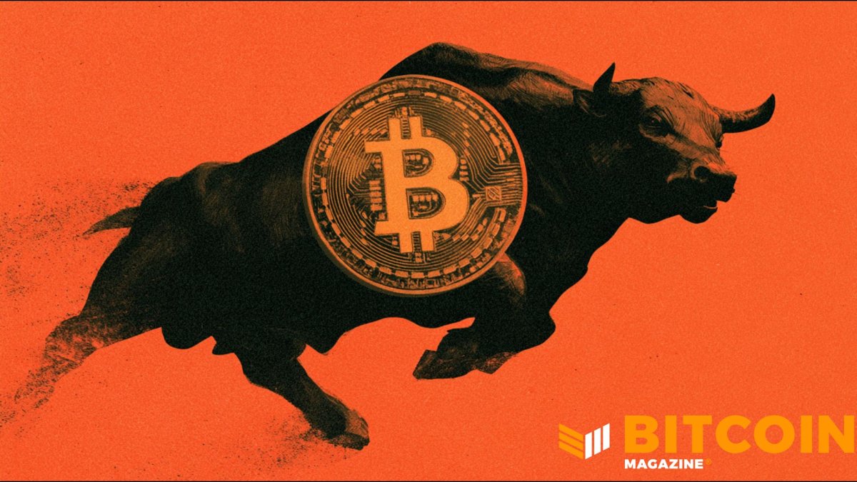 Bitcoin Has Its Best Week Since 2023 as Shortsellers Continue To Get Wiped Out