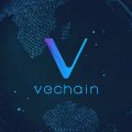 Обзор криптовалюты VeChain / ВиЧейн (VEN)