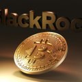 BlackRock Says 1% To 2% Bitcoin Allocation Is Reasonable For Traditional Portfolios BlackRock Says 1% To 2% Bitcoin Allocation Is Reasonable For Traditional Portfolios