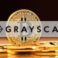 Grayscale Says Revenue-Generating Crypto Protocols Look Attractively Valued