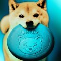 SHIB Burn Rate Hits 6-Month High: Will Shiba Inu Price React? SHIB Burn Rate Hits 6-Month High: Will Shiba Inu Price React?