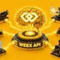 WEEX OpenAPI 101: 5 Powerful Modules, AI Trading Tools, and Grab Up to 70% Revenue Opportunities