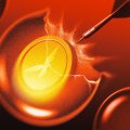 VC Reportedly Rejected Trump Crypto Venture After Steve Witkoff’s Memecoin Blunder VC Reportedly Rejected Trump Crypto Venture After Steve Witkoff’s Memecoin Blunder