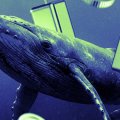 UNI Whale Accumulation Hits Fastest Pace in 5 Years on Binance UNI Whale Accumulation Hits Fastest Pace in 5 Years on Binance