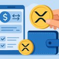 How XRP Works and Why Safety Matters How XRP Works and Why Safety Matters