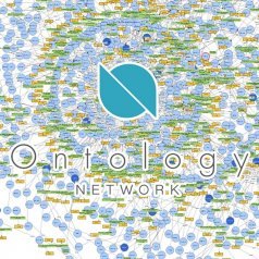 Обзор криптовалюты Ontology / Онтология (ONT)