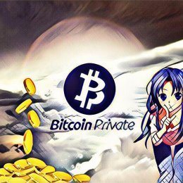 Подтвержден тайный выпуск монет Bitcoin Private