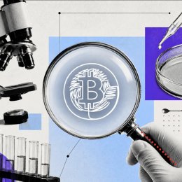 A bitcoin transaction: how to read and track it