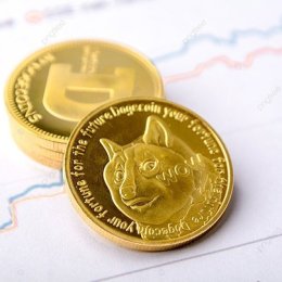 Dogecoin Left Out? Elon Musk Teases X Money Visa Integration Operating Exclusively in Fiat