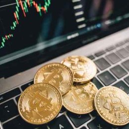 Dogecoin Gamble With Netflix Funds Ends In Prison Sentence For Film Director