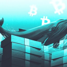 3 Altcoins Crypto Whales Are Buying Ahead of July 2026