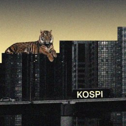 Why Is South Korea’s Won Rising While Its Chip Stocks Collapse?