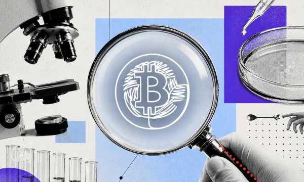 Биткоин-транзакция: как ее прочитать и отследить Биткоин-транзакция: как ее прочитать и отследить
