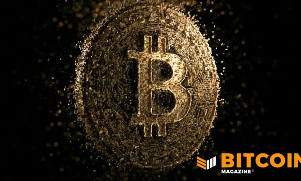 Preferred Stock Is Becoming Bitcoin Treasury Firms’ Financing Tool of Choice: Report Preferred Stock Is Becoming Bitcoin Treasury Firms’ Financing Tool of Choice: Report