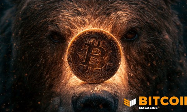 Bitcoin Bear Market May Not Yet Be Over, Says Fidelity