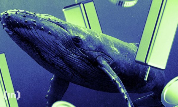 Bitcoin Whales Were Urging Friends to Buy Zcash Before Its Rally to $1,000 Bitcoin Whales Were Urging Friends to Buy Zcash Before Its Rally to $1,000
