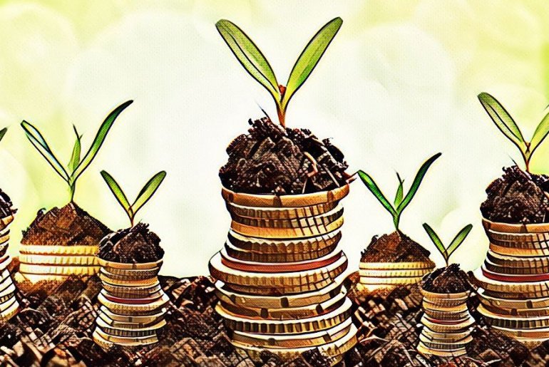 Let's invest money in HYIPs properly or how to not lose your investments