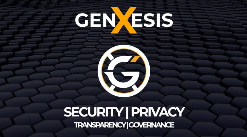 Обзор криптовалюты GenesisX / ГенезисИкс (XGS)