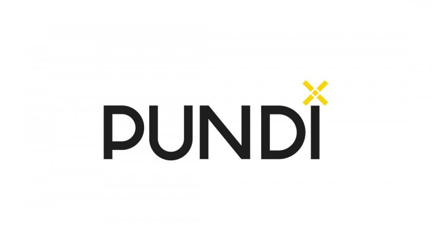 Обзор криптовалюты Pundi X / Пунди Икс (NPXS)