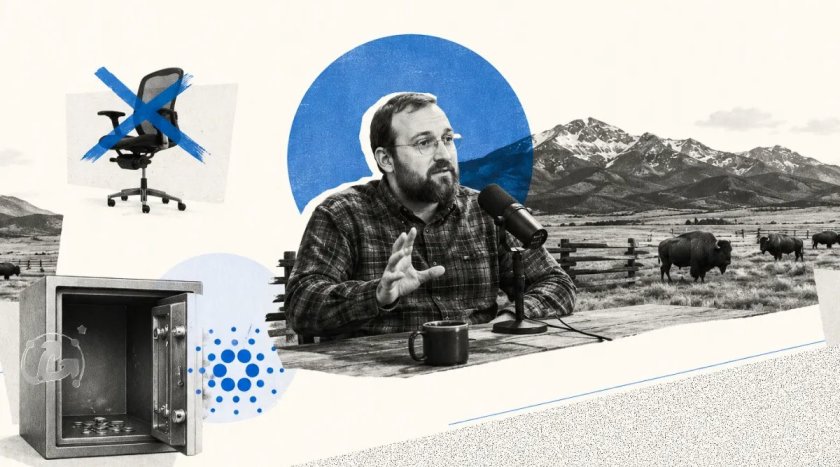 Научный прорыв и пустые пулы: что привело Cardano к кризису? Научный прорыв и пустые пулы: что привело Cardano к кризису?
