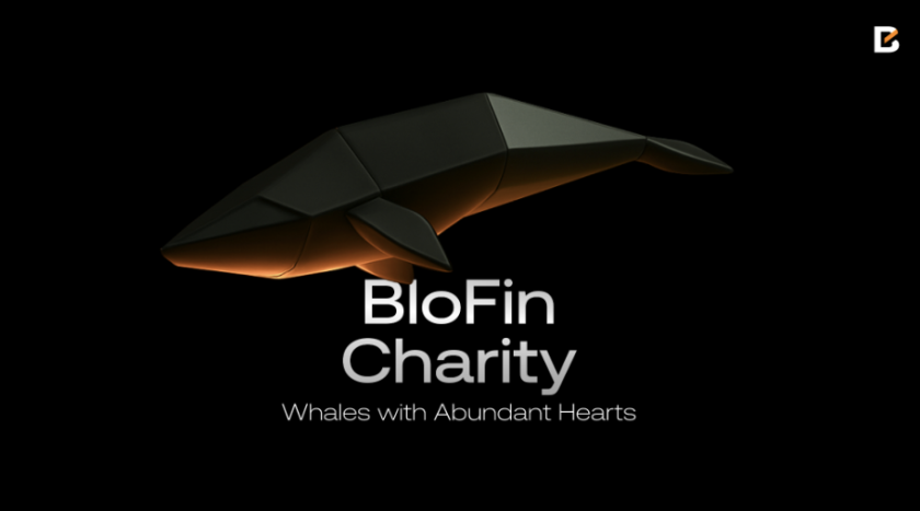 BloFin Donates $1 Million USDT Plus 12 Million Venezuelan Bolívar in Direct Cash Relief for Venezuela Earthquake Victims BloFin Donates $1 Million USDT Plus 12 Million Venezuelan Bolívar in Direct Cash Relief for Venezuela Earthquake Victims