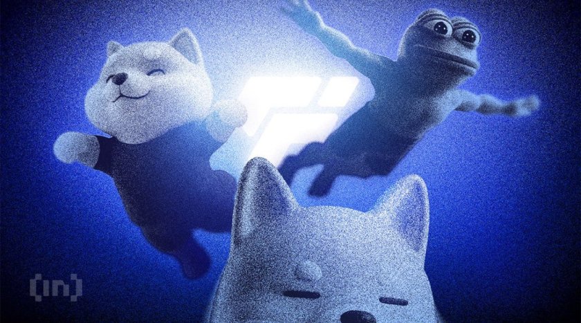 Solana Memecoin OnlyMarms is Outraising OnlyFans Subscriptions for a Marmot Study Solana Memecoin OnlyMarms is Outraising OnlyFans Subscriptions for a Marmot Study