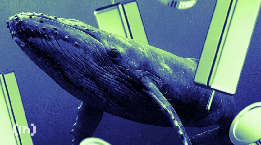 UNI Whale Accumulation Hits Fastest Pace in 5 Years on Binance UNI Whale Accumulation Hits Fastest Pace in 5 Years on Binance