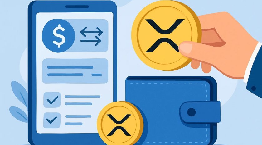 How XRP Works and Why Safety Matters How XRP Works and Why Safety Matters